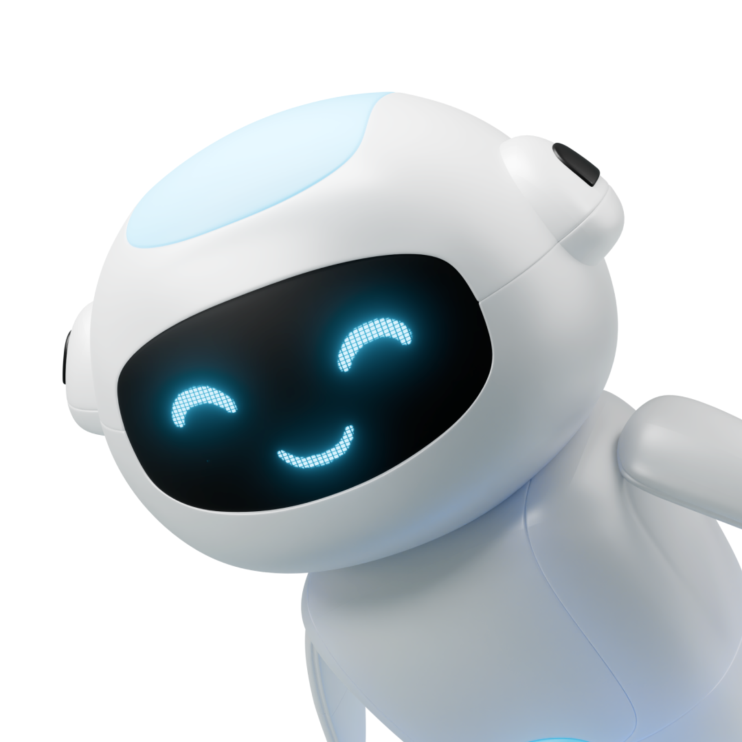 Robbit Academy - exhibit detail 3
